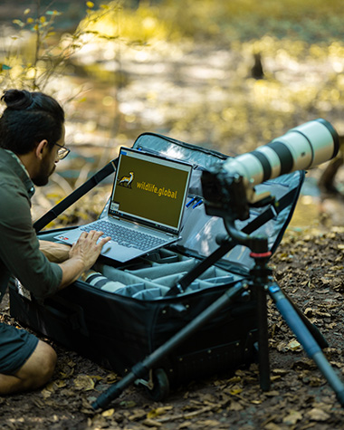 Think Tank Photo production Manager 40 - Sasan amir